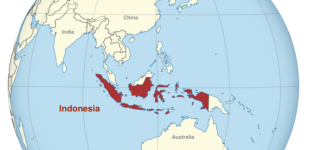 image_3947efd9.png